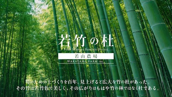 Four Seasons Bamboo Forest Wakayama Farm 1