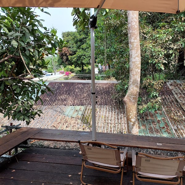 Rainforest Tree House Café 雨林树屋咖啡馆