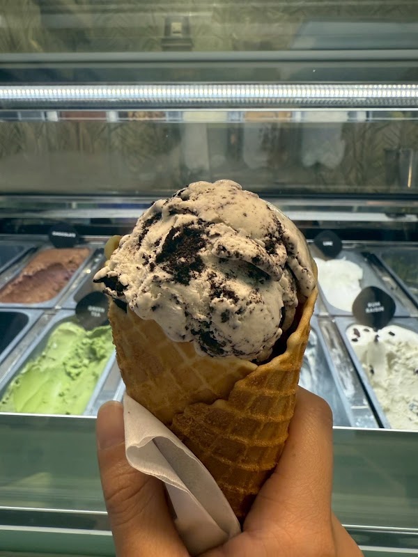 Ani&Aga Premium Gelato 5