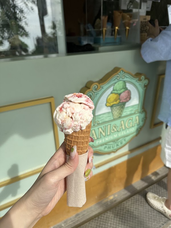 Ani&Aga Premium Gelato 3