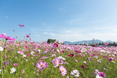 Guri Hangang Park