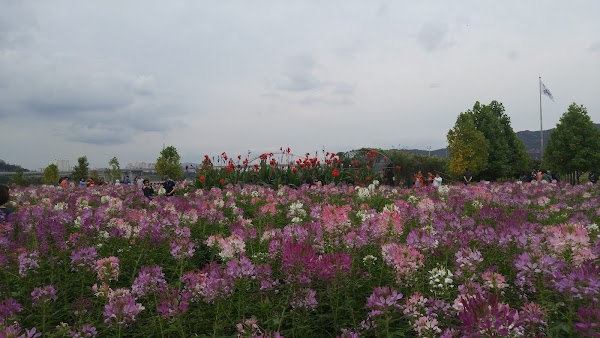 Guri Hangang Park 5