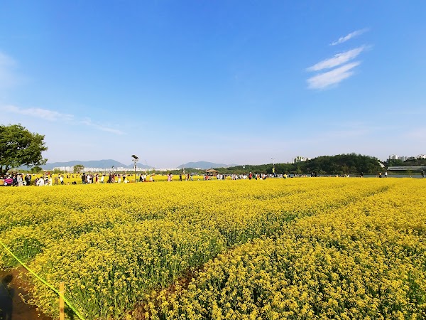 Guri Hangang Park 3
