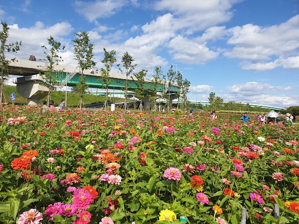 Guri Hangang Park 2