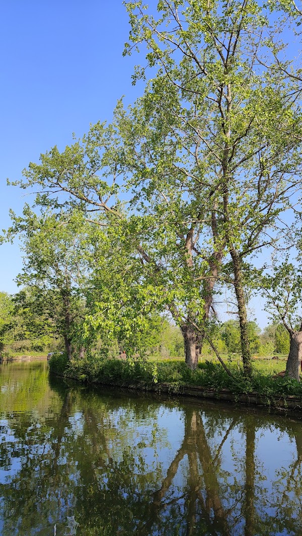 Grand Union Canal 2