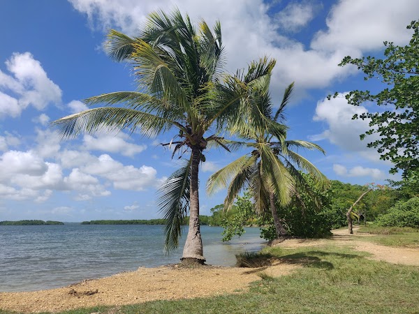 Plage de Babin