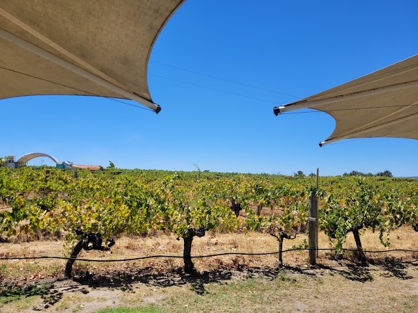 Lancaster Wines 4