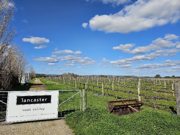 Lancaster Wines 3