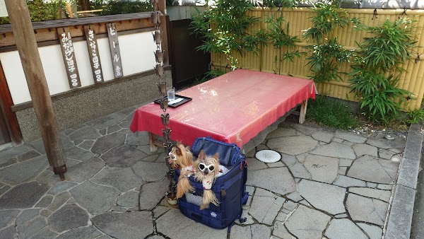 Kyoto cafe 75