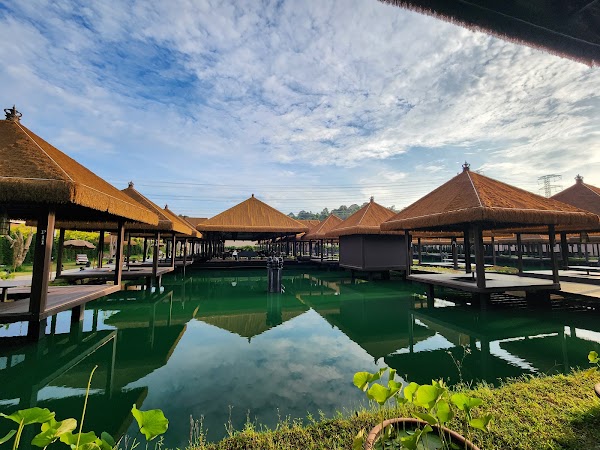 Monkeys Canopy Resort 1