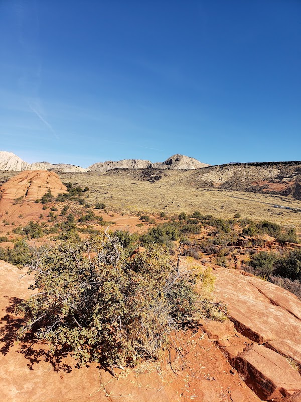 Snow Canyon State Park Petrified Sand Dunes 5