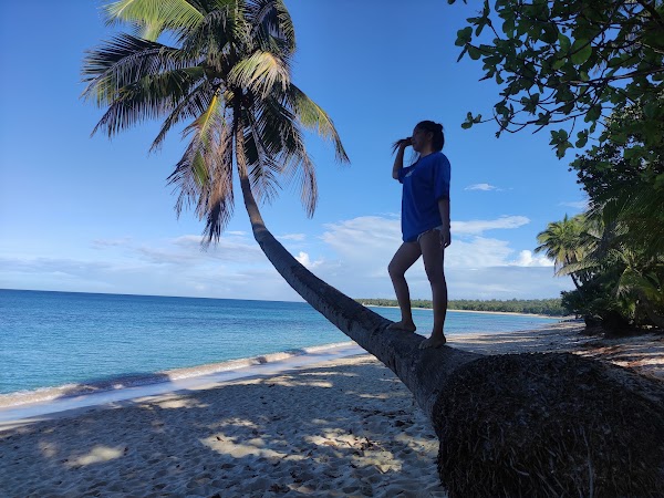 Saud Beach 4