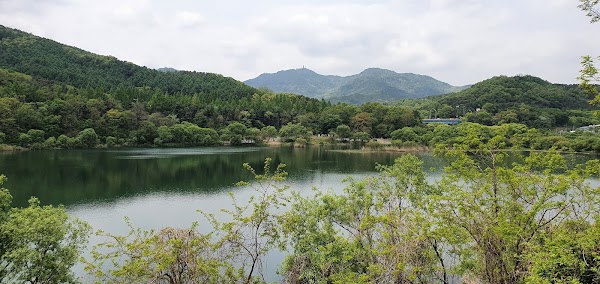 대왕저수지 1