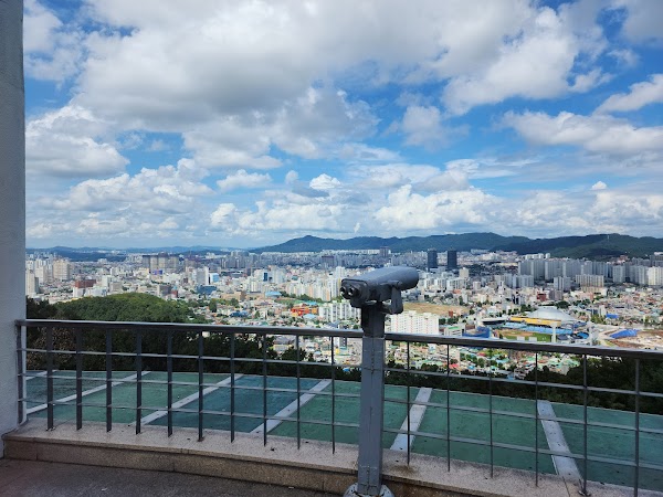 보문산 큰나무 전망대