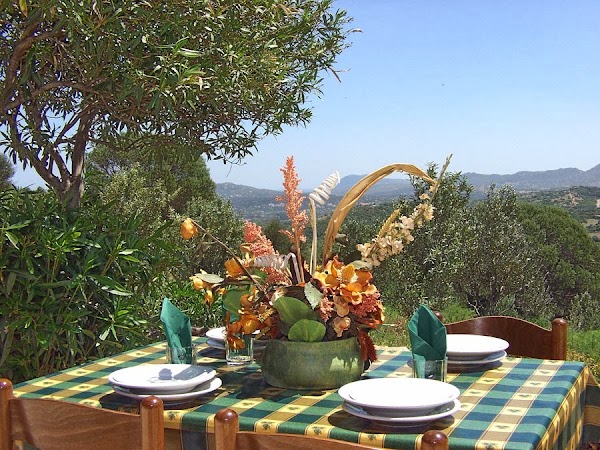 Agriturismo Stazzu Li Paladini - Bed & Breakfast - Olbia - Costa Smeralda 3