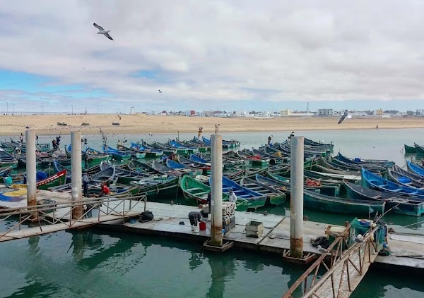 El Marsa