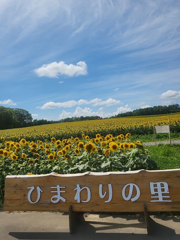 Hokuryu Sunflower Village 5