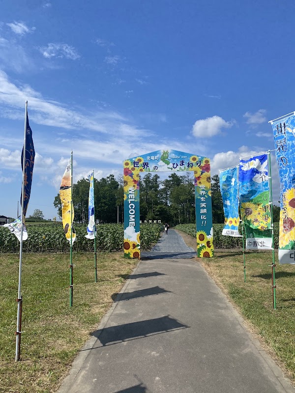 Hokuryu Sunflower Village 4