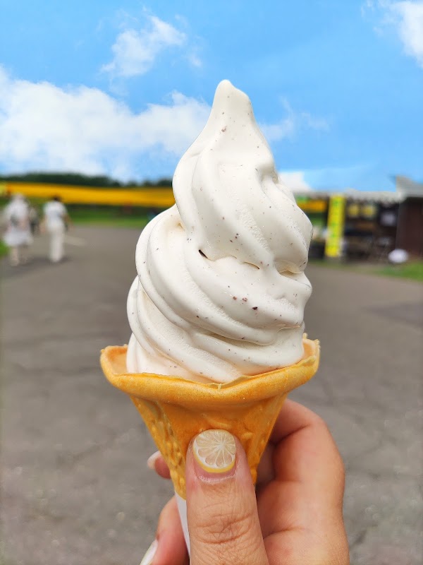 Hokuryu Sunflower Village 2