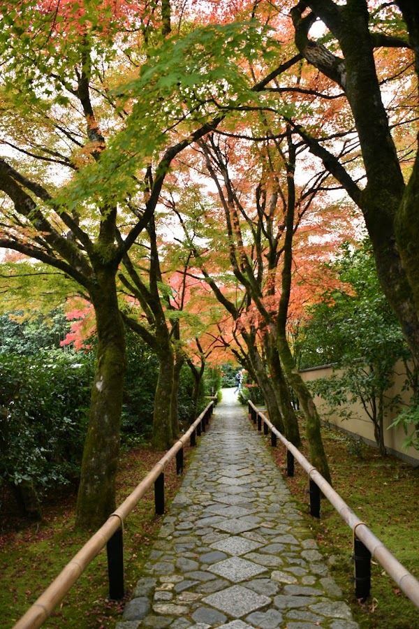 Kōetsu-ji Temple 5