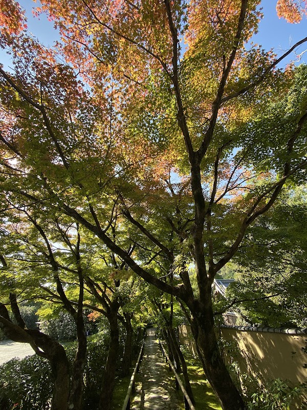 Kōetsu-ji Temple 2