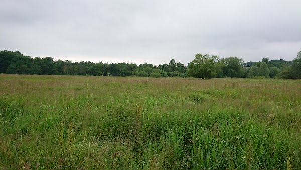 Marston Marsh 1