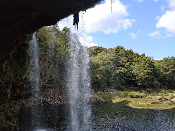 Rainbow Falls (Waianiwaniwa) 5