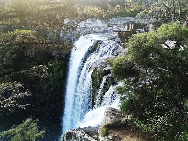 Rainbow Falls (Waianiwaniwa) 4