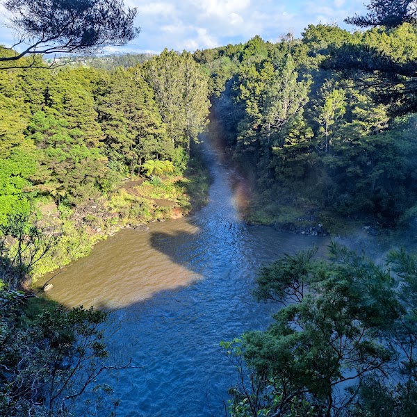 Rainbow Falls (Waianiwaniwa) 3
