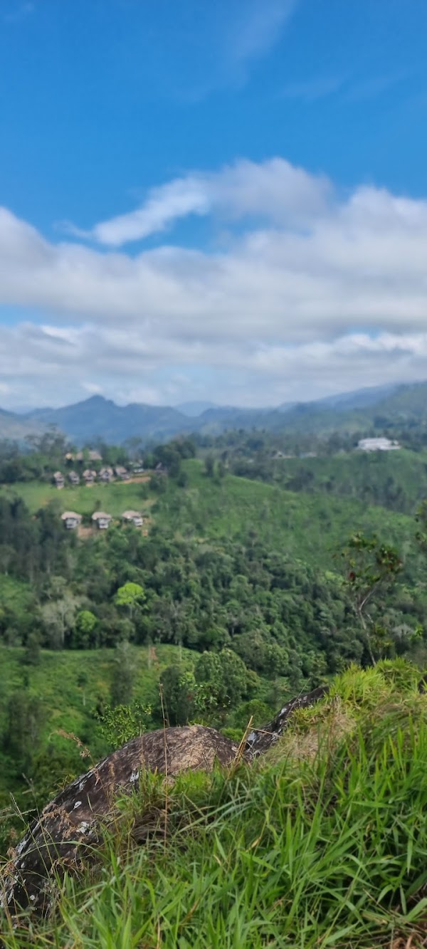 Little Adam's Peak Trailhead 5