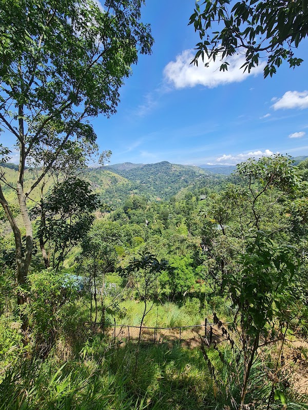 Little Adam's Peak Trailhead 2