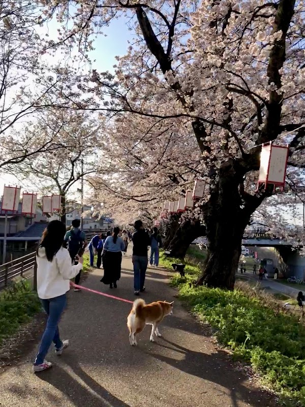 Fukui 5