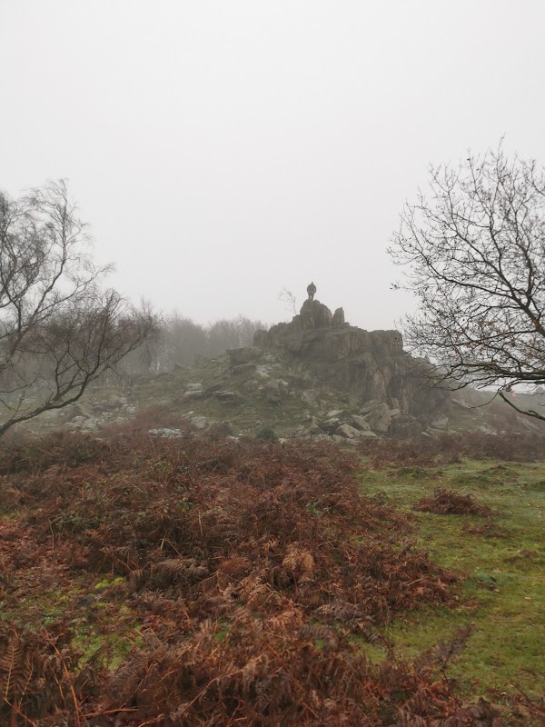Beacon Hill, Leicestershire 3