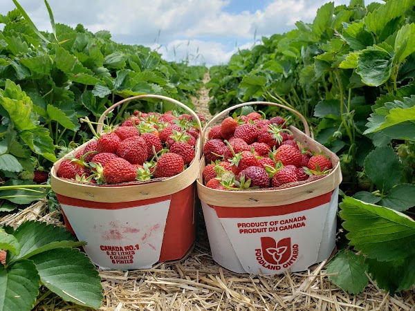 Robintide Farms