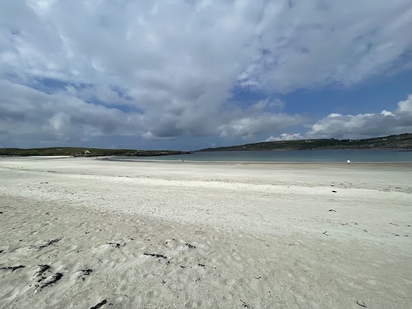Dog's Bay 4