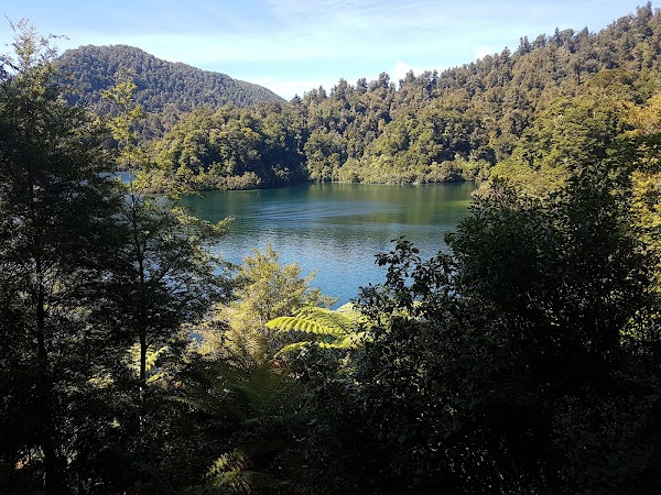 Te Urewera 5