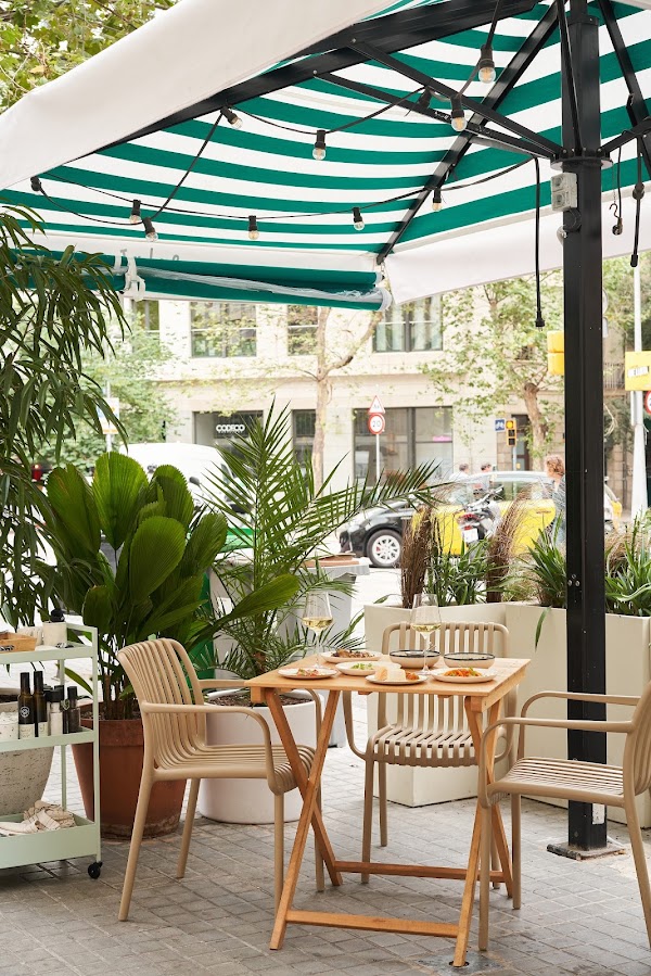 Salut Bistro 1