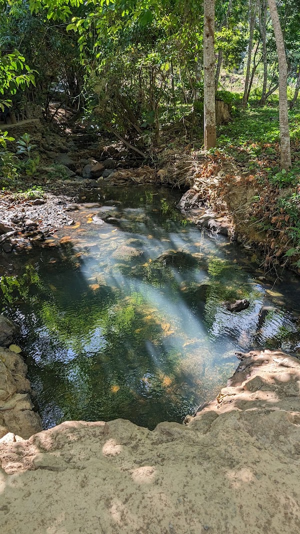 Following Giants Koh Lanta Ethical Elephant Sanctuary 2