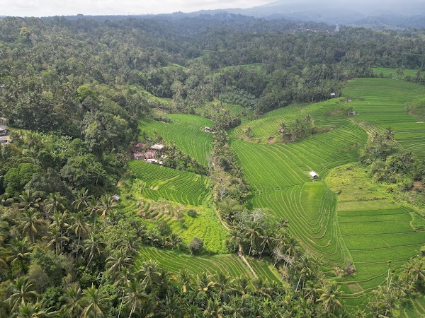 Singing Sade Waterfall 3