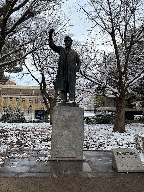 Statue of Saigō, Ueno Park 3