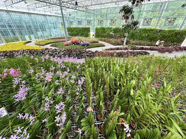 Eufloria Gardens & Sculpture Park 2