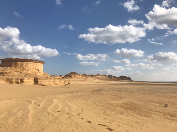 Faiyum Oasis