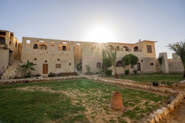 Faiyum Oasis 5