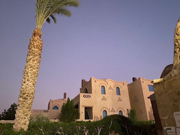 Faiyum Oasis 4