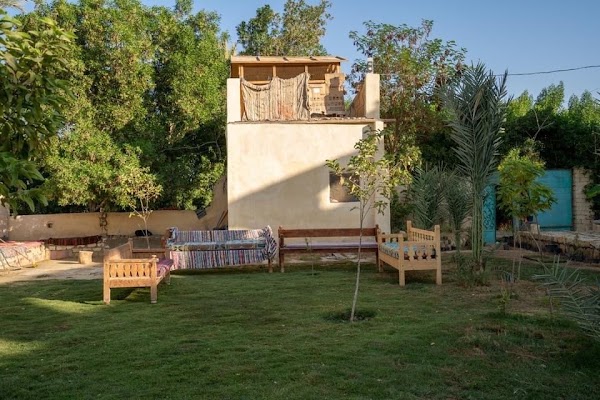 Faiyum Oasis 3