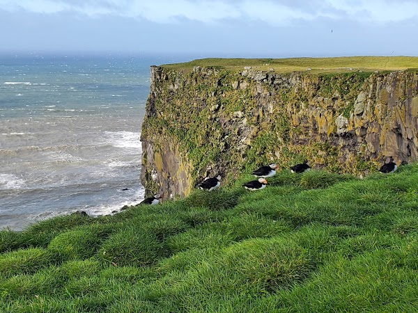 Iceland 35