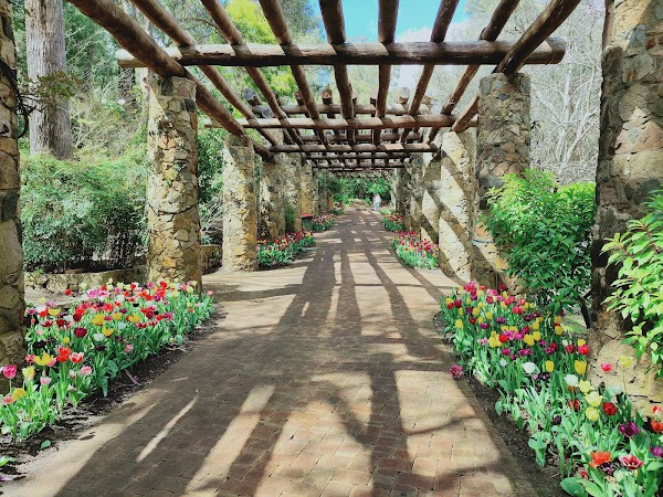 Araluen Botanic Park 2