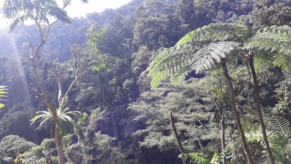 Casaroro Falls 4