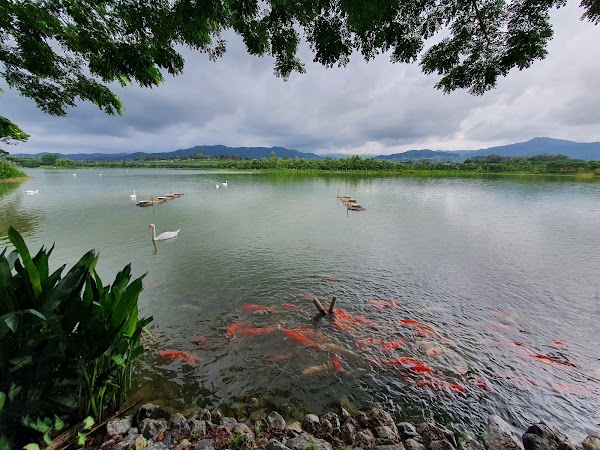 Singha Park Chiang Rai 2