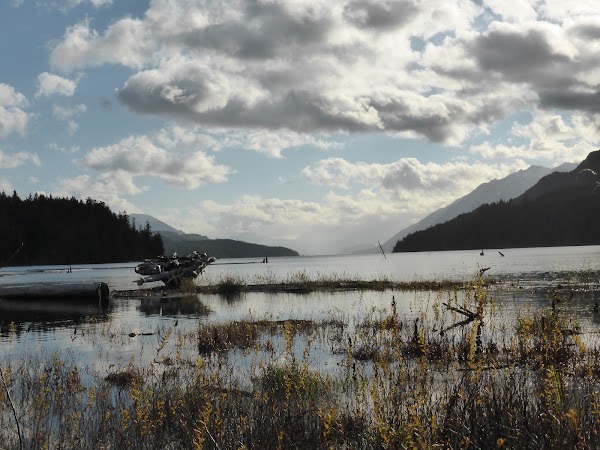 Nimpkish Lake Provincial Park